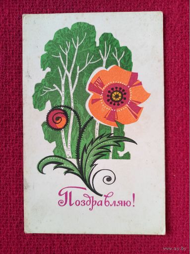 Поздравляю! Елагина 1970 г. Чистая.