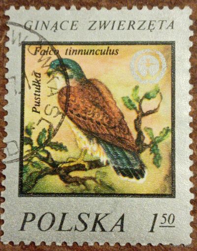 Польша 1977. Обыкновенная пустельга