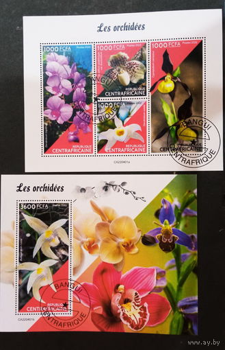 ЛИСТ ФЛОРА ЦВЕТЫ ГРИБЫ  СТО