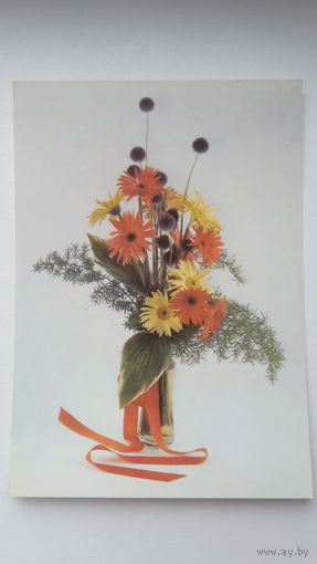 Открытка. Фото. Ткаченко. Цветы. С днем рождения! 1989. Чистая.