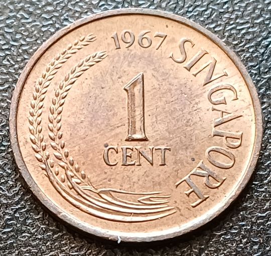 Сингапур 1 цент, 1967   ( 2-1-8 )