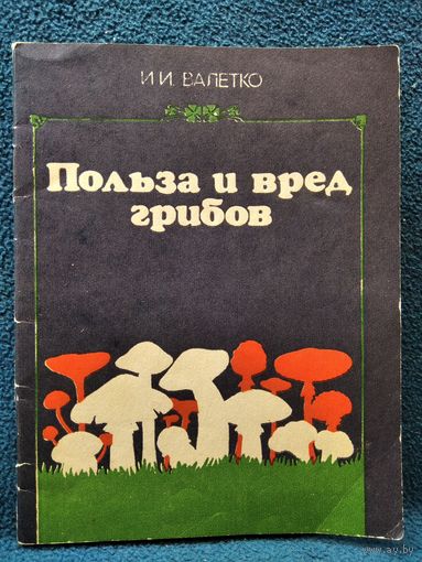 И.И. Валетко Польза и вред грибов