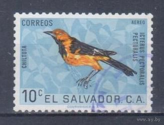 [1862] Сальвадор 1963. Фауна.Птицы.Трупиал. Гашеная марка.