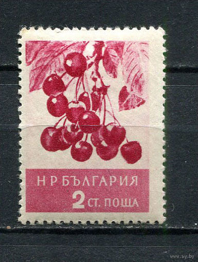 Болгария - 1956 - Вишня 2St - [Mi.990] - 1 марка. MH.  (Лот 47FC)-T25P10