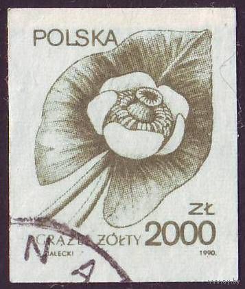 Лекарственные растения Польша 1990 год 1 беззубцовая марка