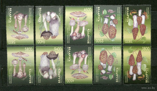 Грибы. Беларусь. 1998. Полная серия 5 марок. Сцепка тет-беш. Чистые