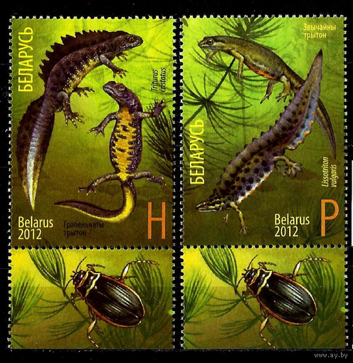 Фауна 2012 Беларусь-Россия Амфибии Тритоны MNH**