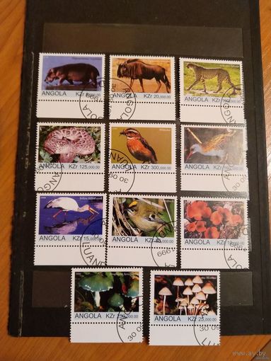 Ангола фауна флора грибы птицы (3-9)