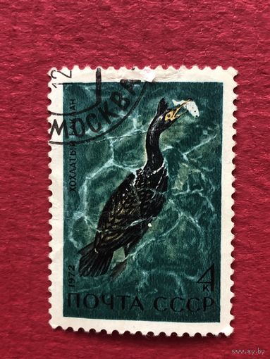 СССР 1972 год. Птицы