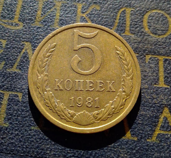 5 копеек 1981 СССР #17