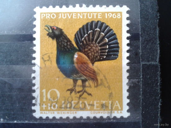 Швейцария 1968 Тетерев