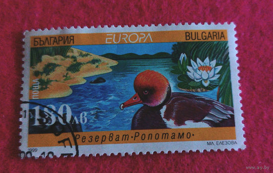 Болгария, 1999, утка