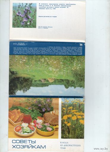 Блюда из дикорастущих трав. Советы хозяйкам. 15 штук. Комплект. 1985