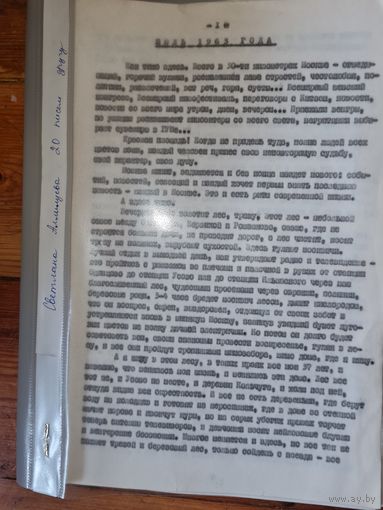 С. Аллилуева 20 писем к другу