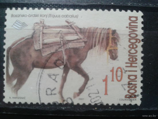 Босния и Герцеговина, 2001.Боснийская горная лошадь