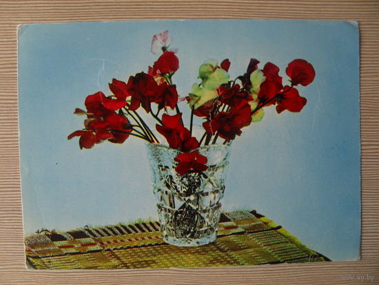ПОДПИСАННАЯ ОТКРЫТКА .СССР. 1968 год. БУКЕТ ЦВЕТОВ В ВАЗЕ. ФЛОРА. фото. Ю. ГРИГОРОВА и В. пОЧАЕВА.