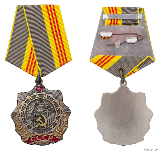 Копия Орден Трудовой Славы 3 степени