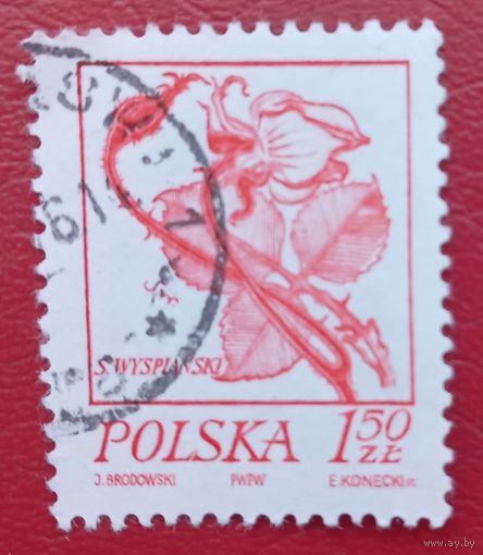 Польша, 1974 г., стандартный выпуск, цветы