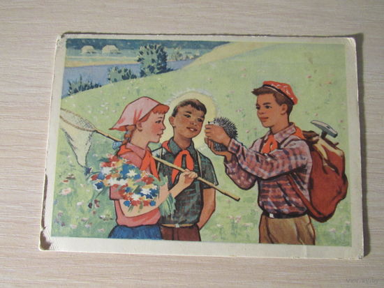 Природа летняя богата. .. худ.Вигилянская  1961г.