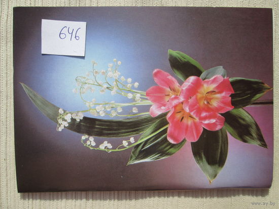 Открытка  СССР лот 646