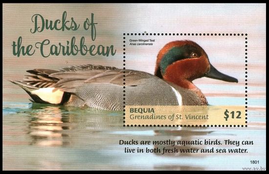 2018 Сент-Винсент Гренадины Бекия 1126/B145 Птицы - Утки 11,00 евро