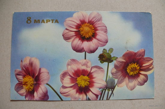 Игнатович Е., 8 Марта; 1966, подписана.