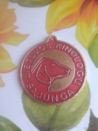 Собачий жетон