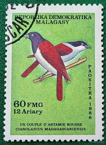 Мадагаскар 1986. Птицы. Синий ванга