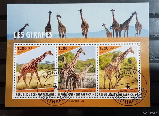 ЛИСТ ФАУНА жирафы  СТО