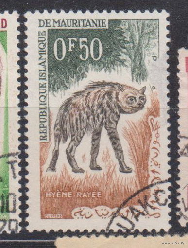Животные гиена фауна Мавритания  1963 год лот  10