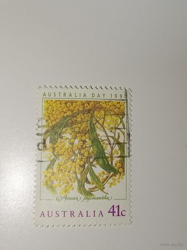Австралия год 1990.  Золотая акация (Golden Wattle, Acacia pycnantha).