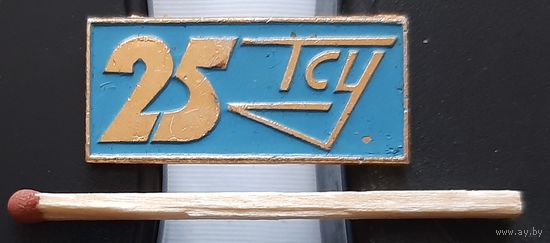ТСУ 25 лет. Ас-46
