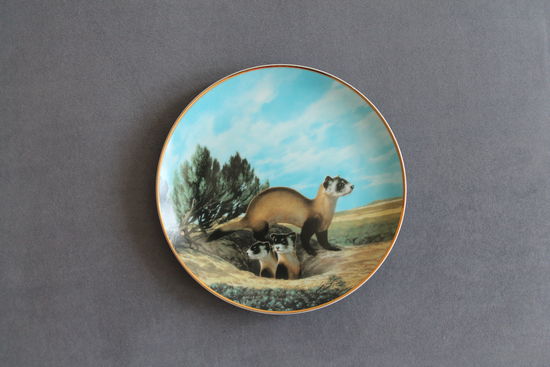 Тарелка коллекционная [1990г., США, W.S.George, Черноногий хорёк, Bradex #84-G20-15.7] D=21,5см.