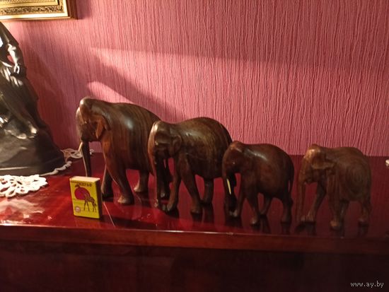 Слоны африканские