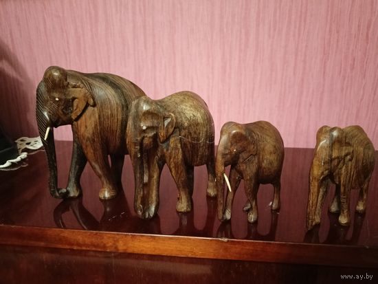 Слоны африканские