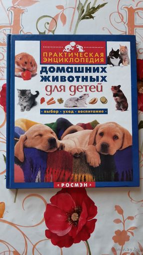 Практическая энциклопедия домашних животных для детей.