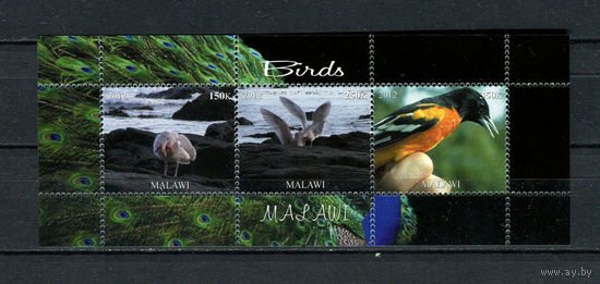 Малави - 2012 - Птицы (2) - 1 блок. MNH.  (LOT Y58)