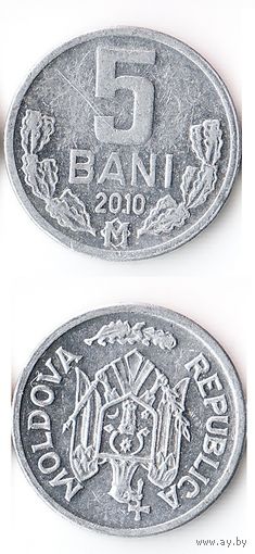 5 бани Молдавия 2010 год