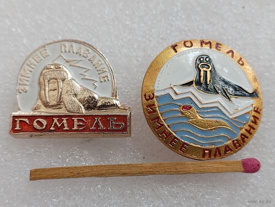 Знак. Зимнее плавание, г. Гомель. Клуб "Моржей"