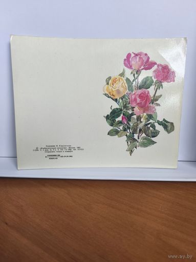 Открытка двойная, чистая, 1983г. Поздравляем! Художник И. Кирпичные. 14