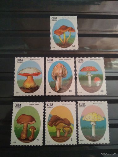 Куба 1988Г. Грибы.