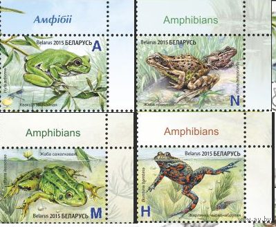 Беларусь 2015 Фауна Земноводные Лягушки, 4 м УГОЛ **