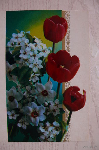 Костенко Г., Фотокомпозиция; 1983, двойная, чистая.