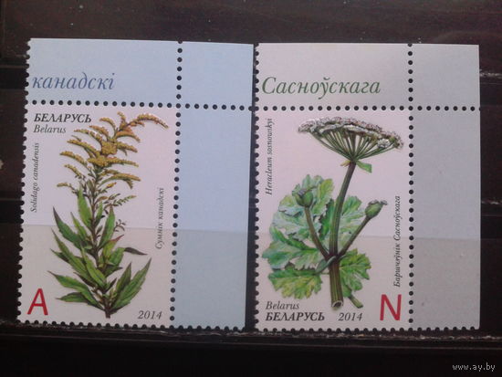 2014 Ядовитые растения** Полная серия, угол