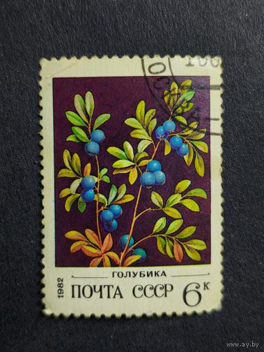 1982 СССР. Дикие ягоды. Голубика