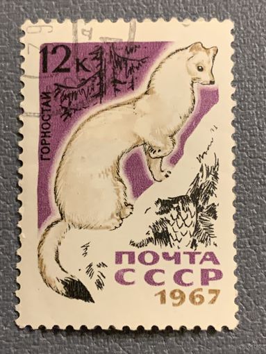 СССР 1967. Фауна. Горностай