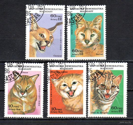 Кошки Мадагаскар 1986 год серия из 5 марок