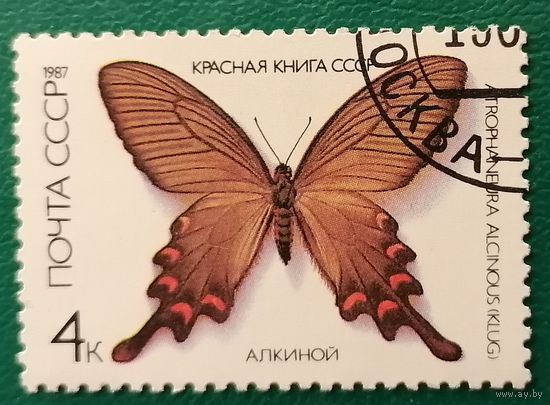 Красная Книга Бабочки Алкиной 1987