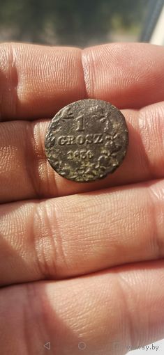 1 грош 1836 г. M. W. Хорошая.! Без м. ц.