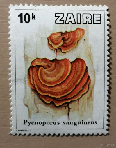 Марка Заир, серия -- грибы, 1978 г., без надпечатки